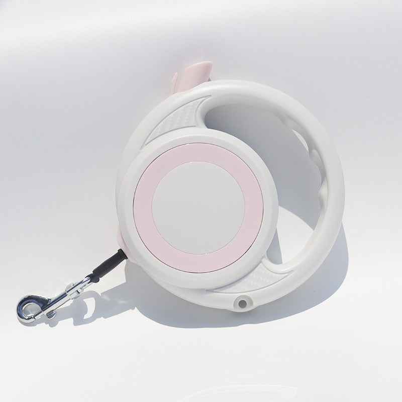 Dog and Cat Hand Holding Rope