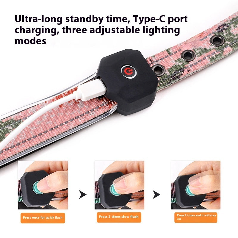 LED USB Charging Shiny Dog Collar