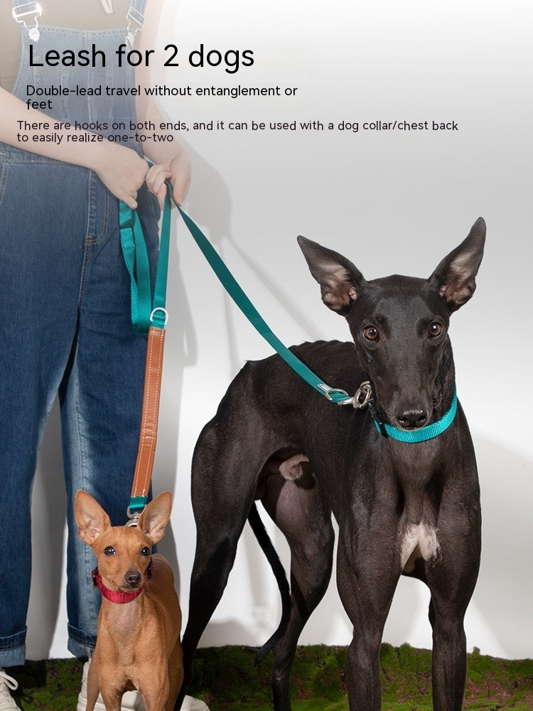 Dog and Cat Traction Rope Chain