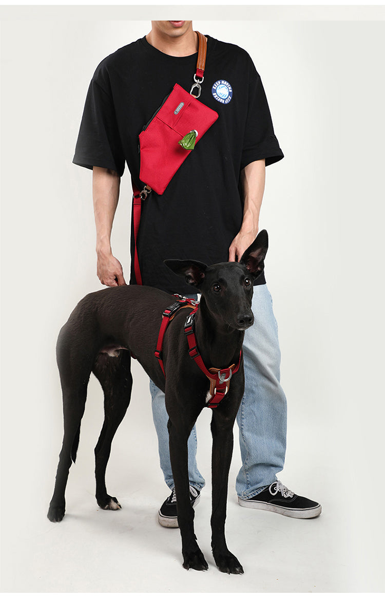 Dog and Cat Traction Rope Chain