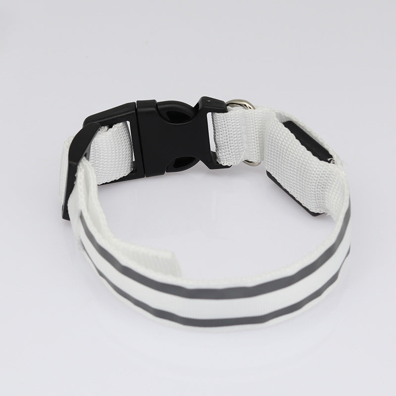 Anti-lost safety Led Dog Collar