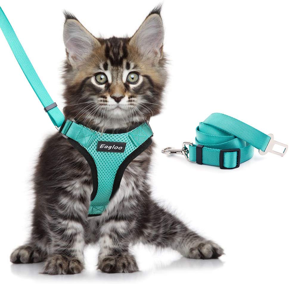 Cat Harness And Car Seat Belt Adapter