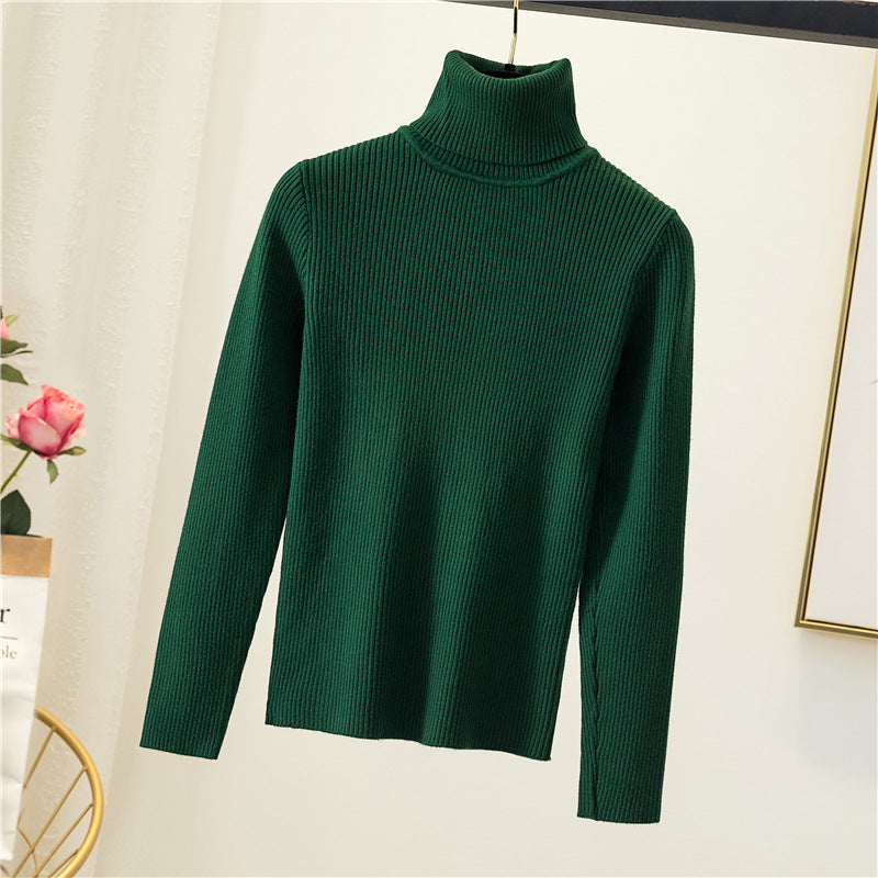 Women Turtleneck Sweater