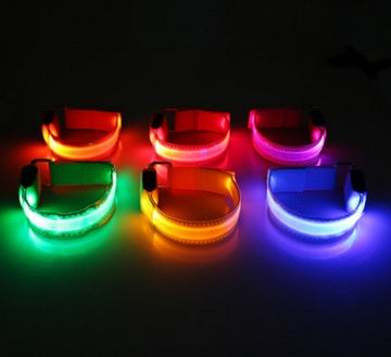 Safety Stylish Dog LED Collar
