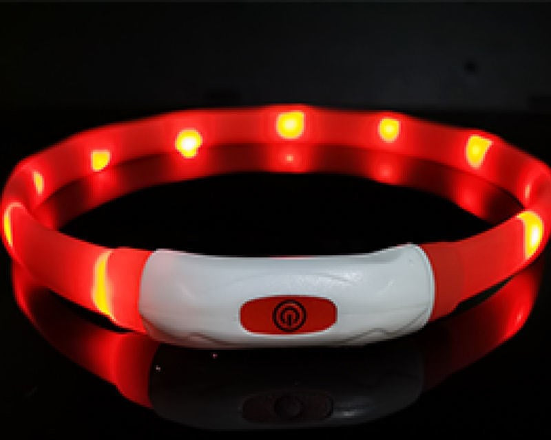 Dog Silicone Luminous Collar