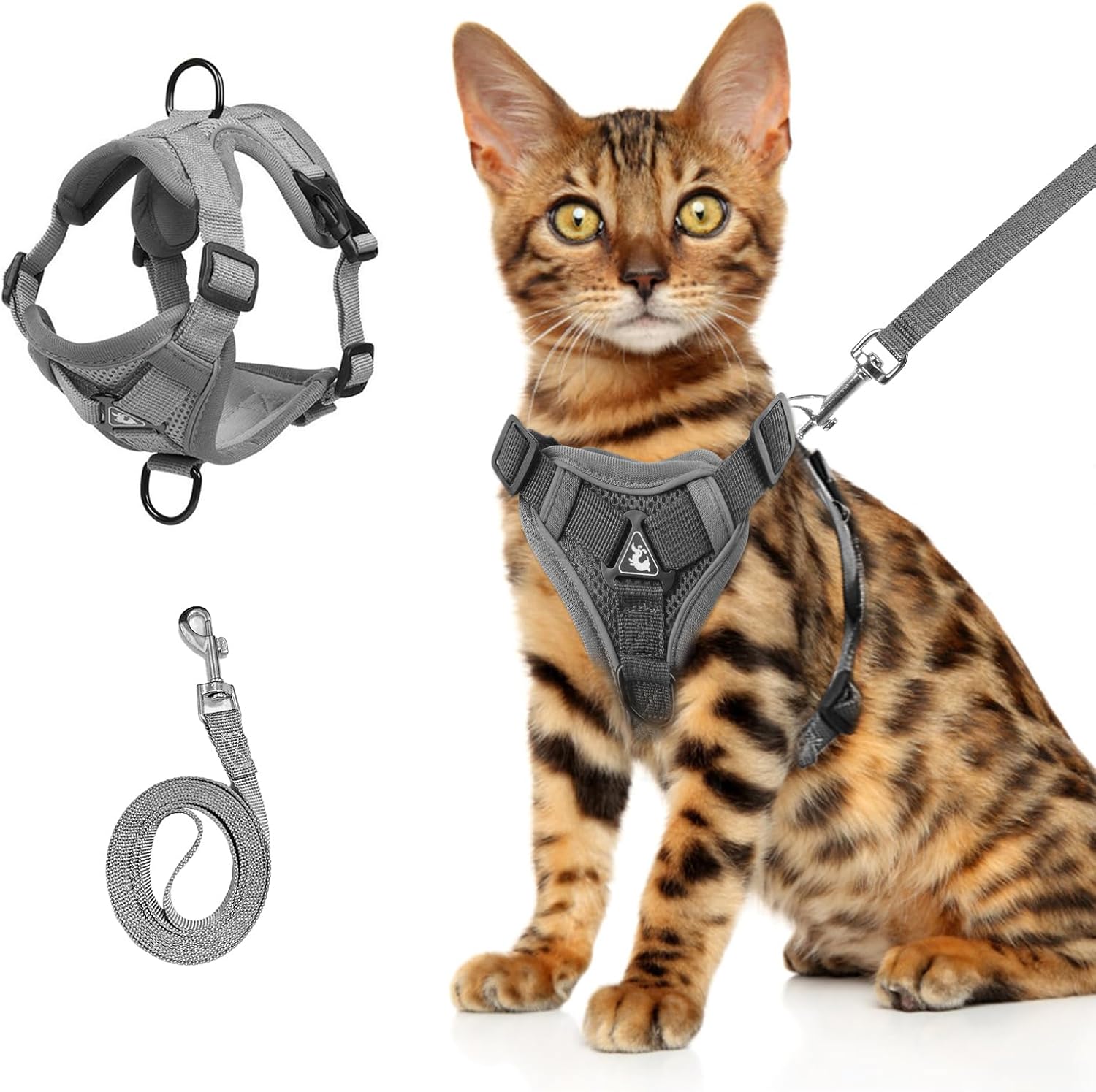 Cat Chest Harness And Leash