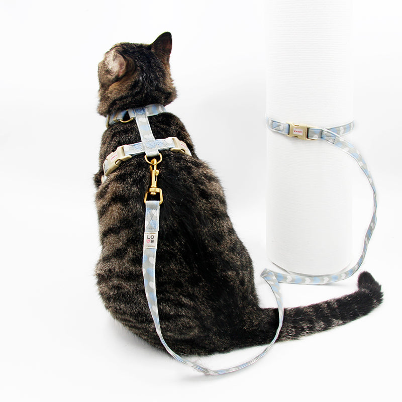 Cat And Dog Traction Rope