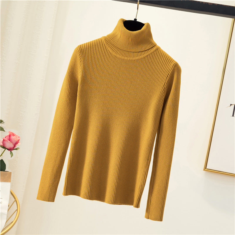 Women Turtleneck Sweater