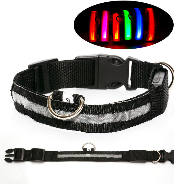 Safety Stylish Dog LED Collar