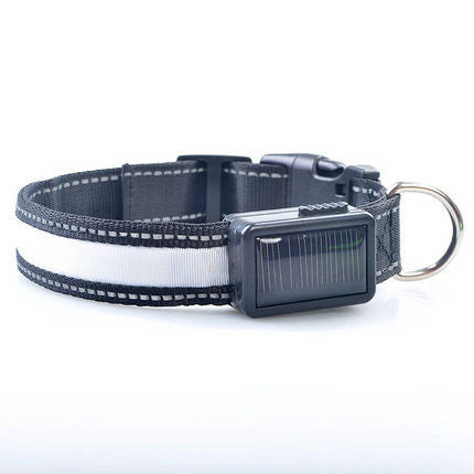 Led Solar Luminous Dog Collar