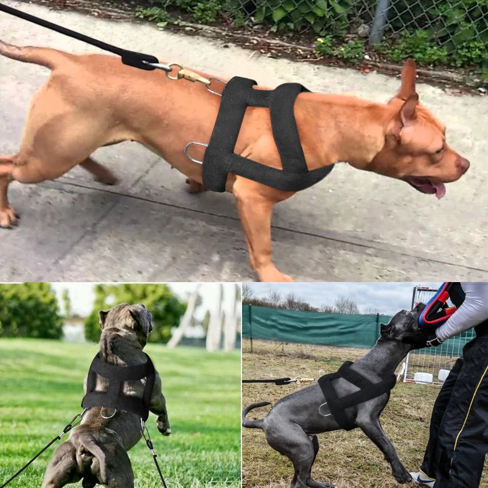 Dog Weight Pulling Harness