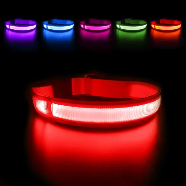 Waterproof LED Dog Collar - Luminous Flashing Safety Glow Necklace for Night Walking Bozal perro Dog collars Dog bows bulk Leash