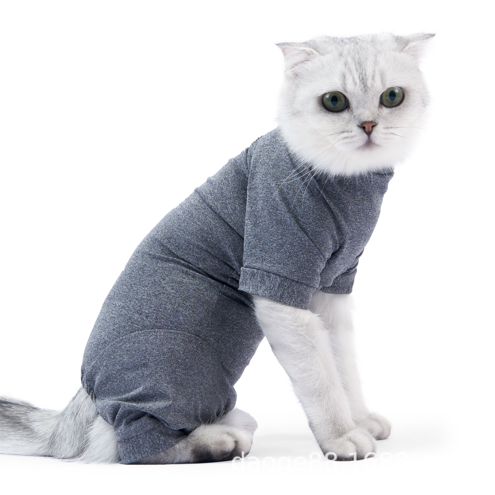 Personalized New Cat Sterilization Clothing