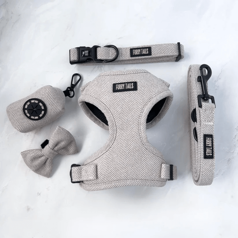 Dog Harness (Full Set) (Coco) – Dog Harness, Dog Collar, Dog Lead, Dog Poo Holder, Dog Bow Tie – by Furry Tails