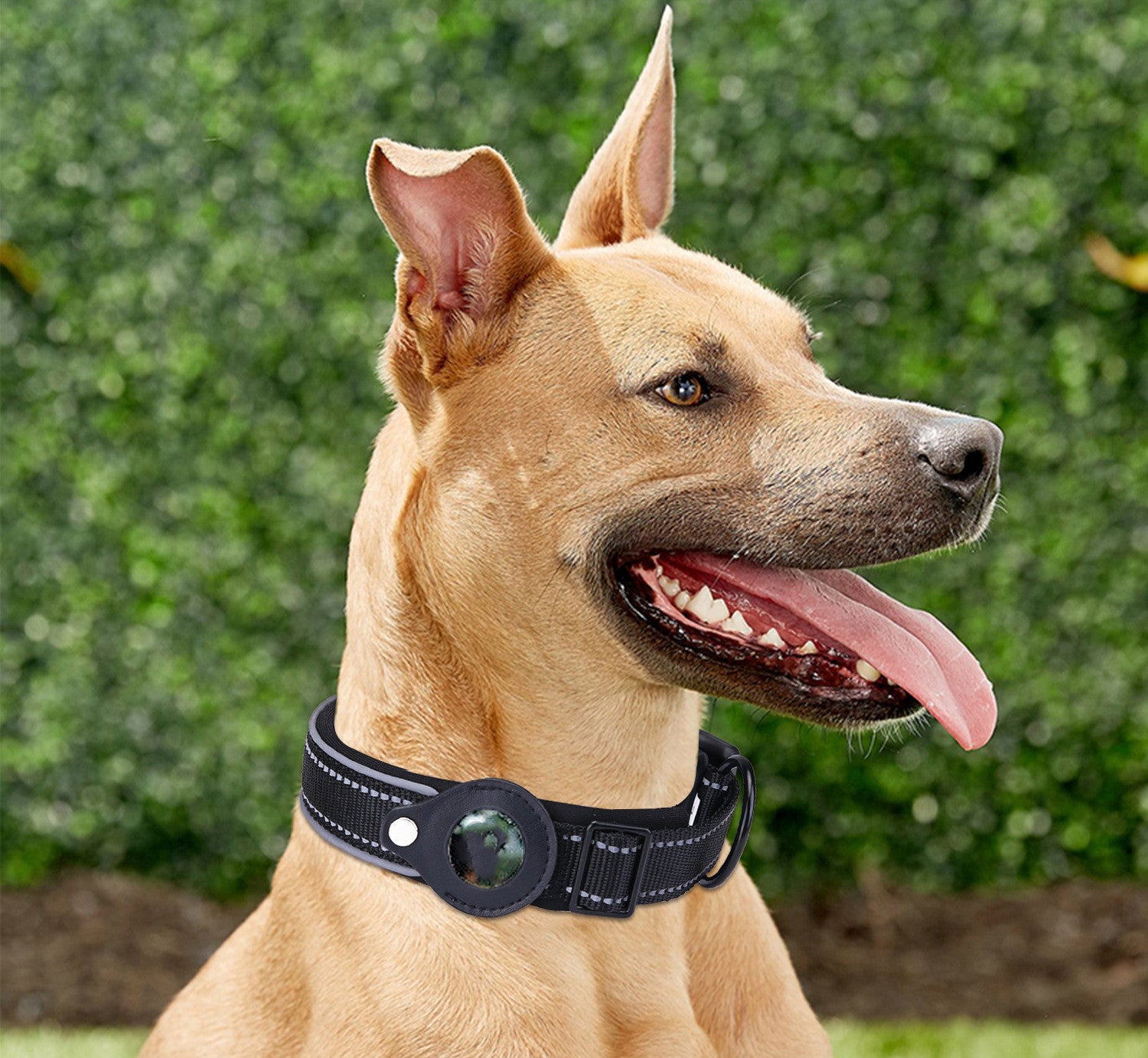 Air-Tag Adjustable Dog Collar