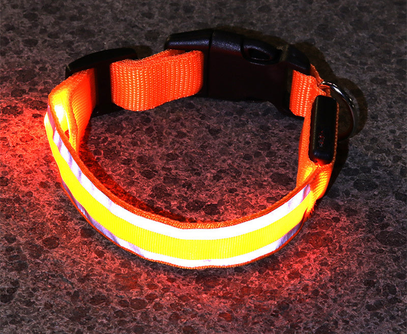 Anti-lost safety Led Dog Collar