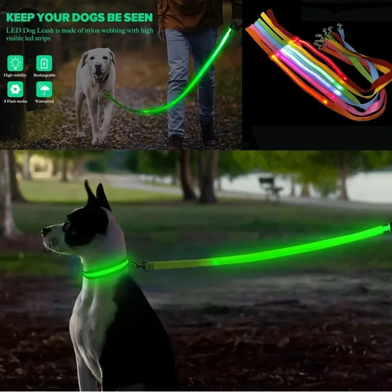 Led Pet Dog Leash Rope With Light Luminous  Lead Leash USB Charging for Dog Safety Flashing Glowing Collar Harness Accessories