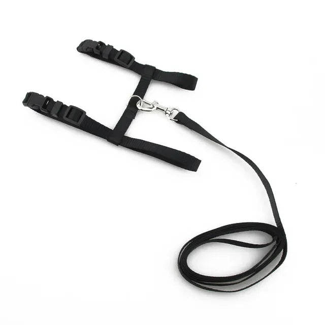 Cat Collar Harness Leash Adjustable Nylon Pet Traction Cat Kitten Dog Halter Collar gato Cats Products Pet Harness Belt