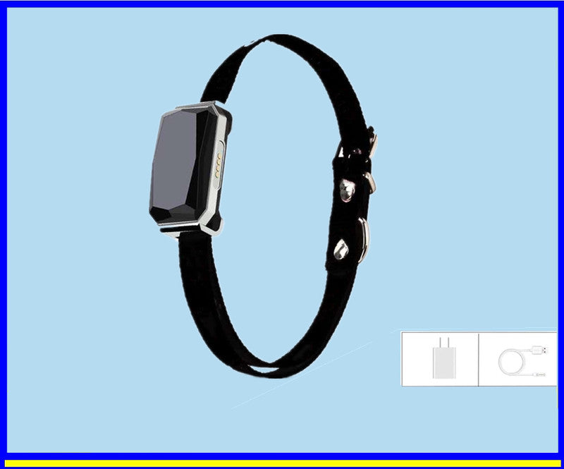 Dog Locator Beidou Gps Collar