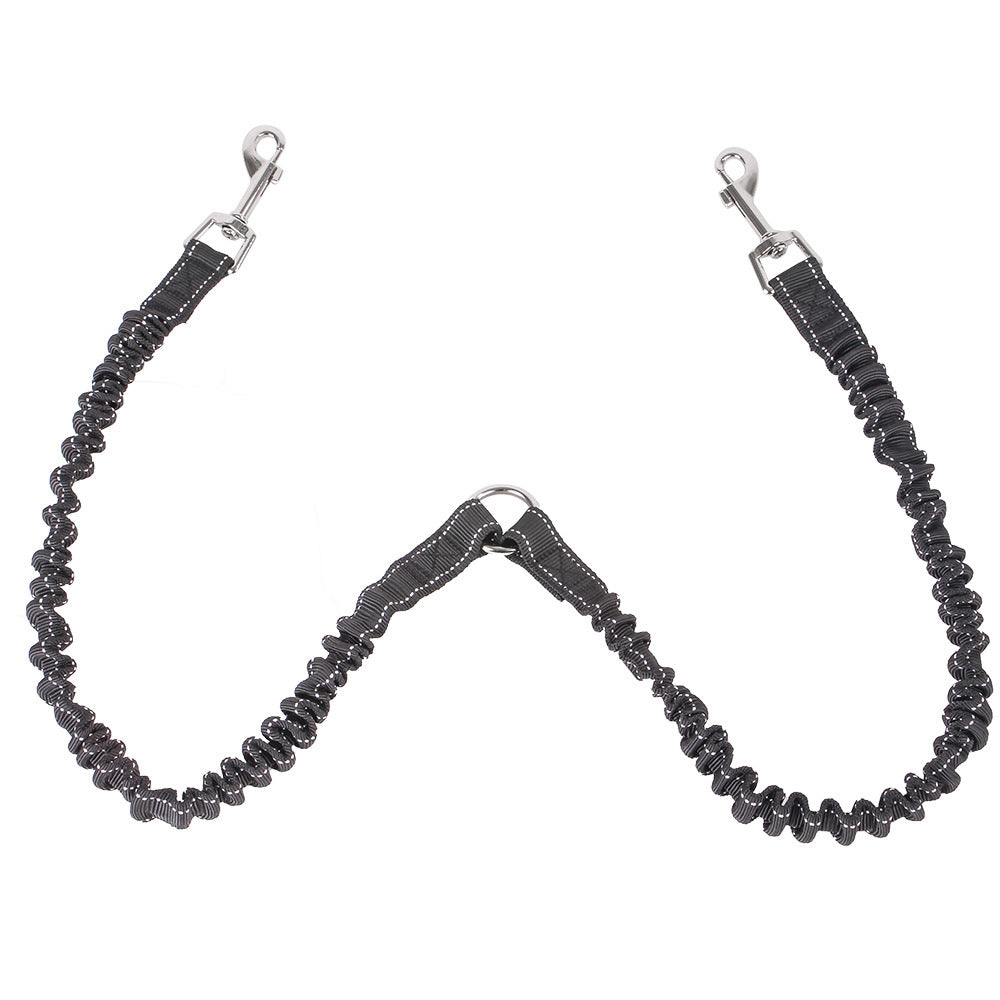 Dogs or Cats With One, Two Leashes