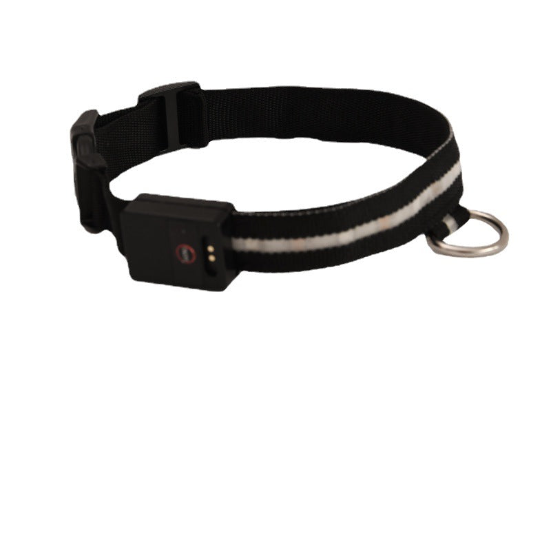 Luminous Dog Walking Light