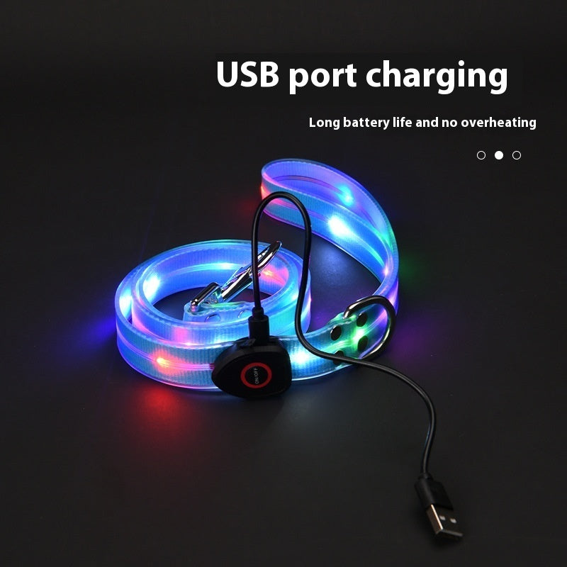 LED Dog Collar Light-emitting