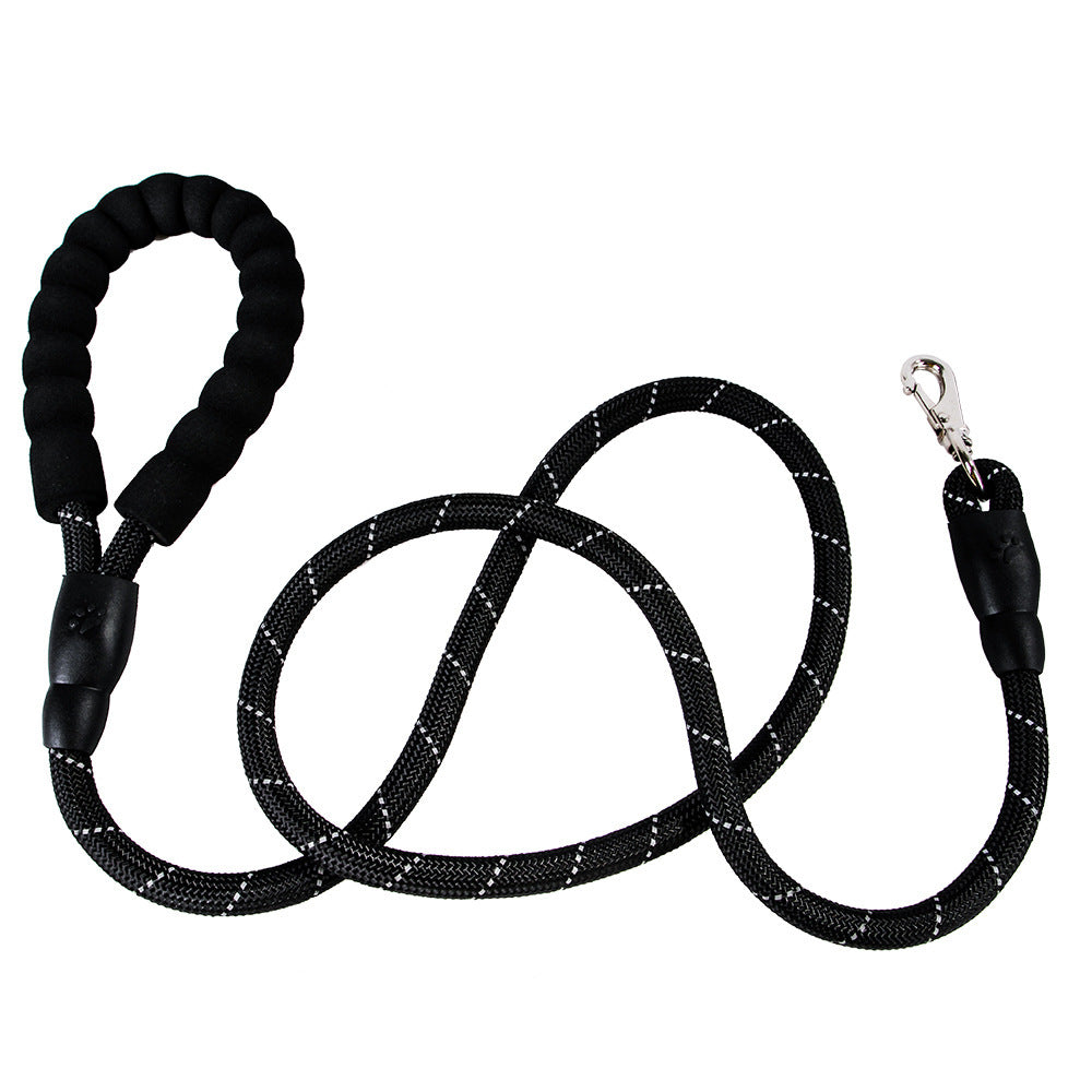 Dogs or Cats With One, Two Leashes