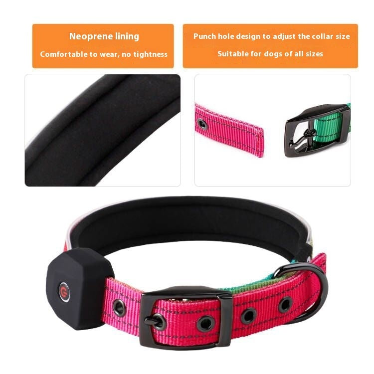 LED USB Charging Shiny Dog Collar