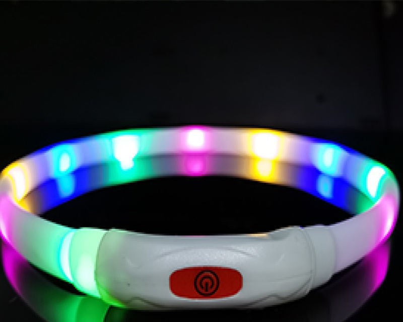 Dog Silicone Luminous Collar