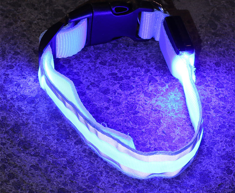 Anti-lost safety Led Dog Collar