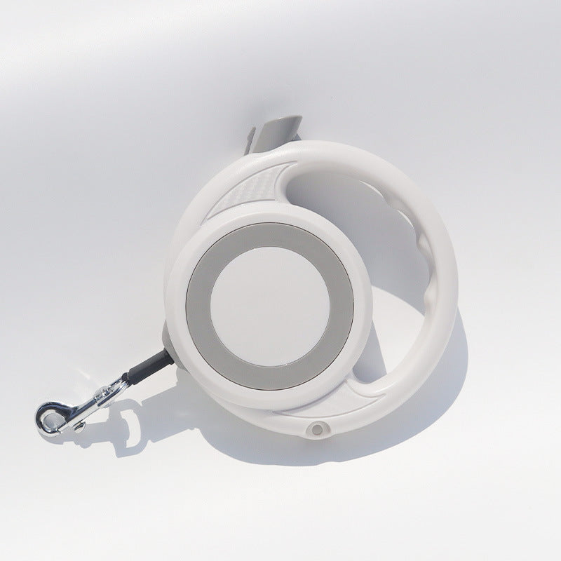 Dog and Cat Hand Holding Rope