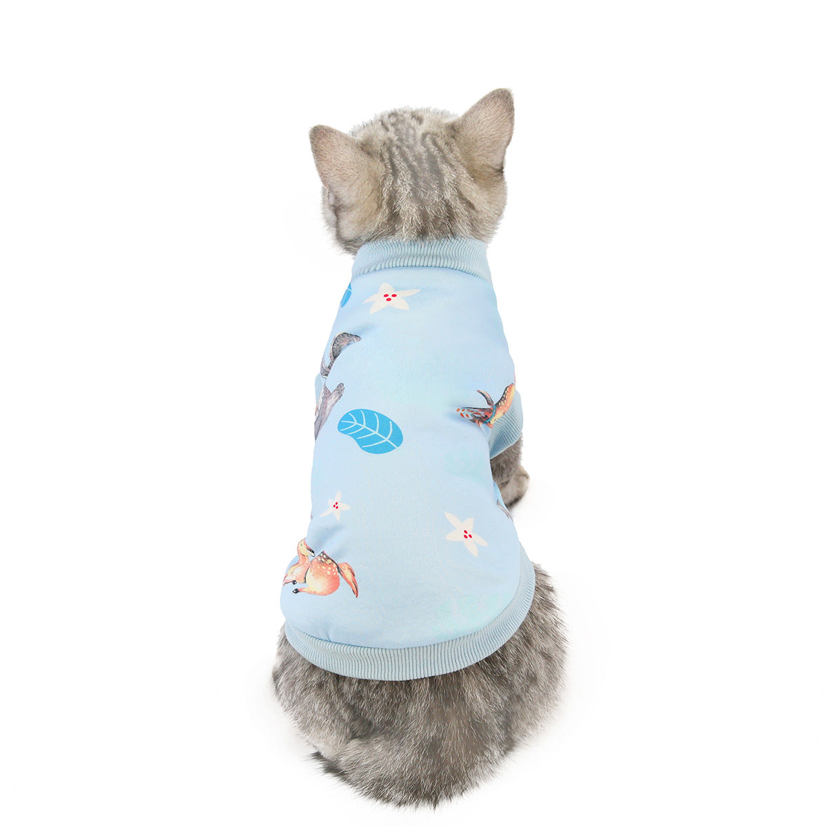 Cute Designs Cat Clothing