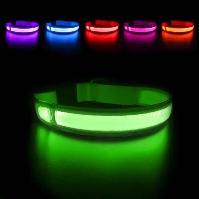 Waterproof LED Dog Collar - Luminous Flashing Safety Glow Necklace for Night Walking Bozal perro Dog collars Dog bows bulk Leash