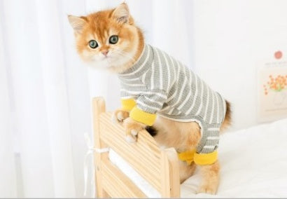 Cat Shed Four-legged Clothing