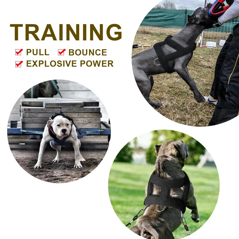 Dog Weight Pulling Harness