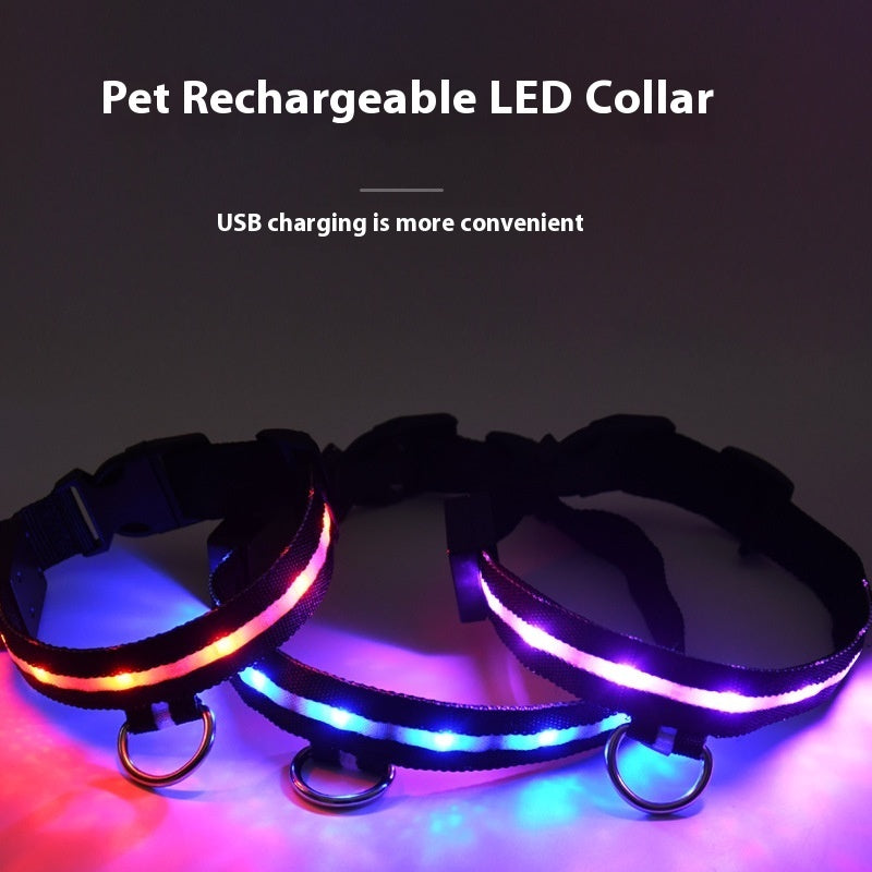 Luminous Dog Walking Light