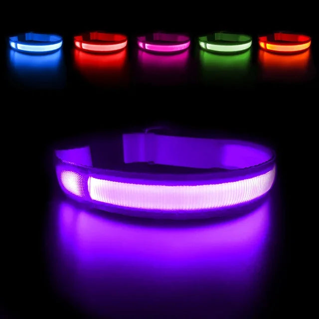 Waterproof LED Dog Collar - Luminous Flashing Safety Glow Necklace for Night Walking Bozal perro Dog collars Dog bows bulk Leash