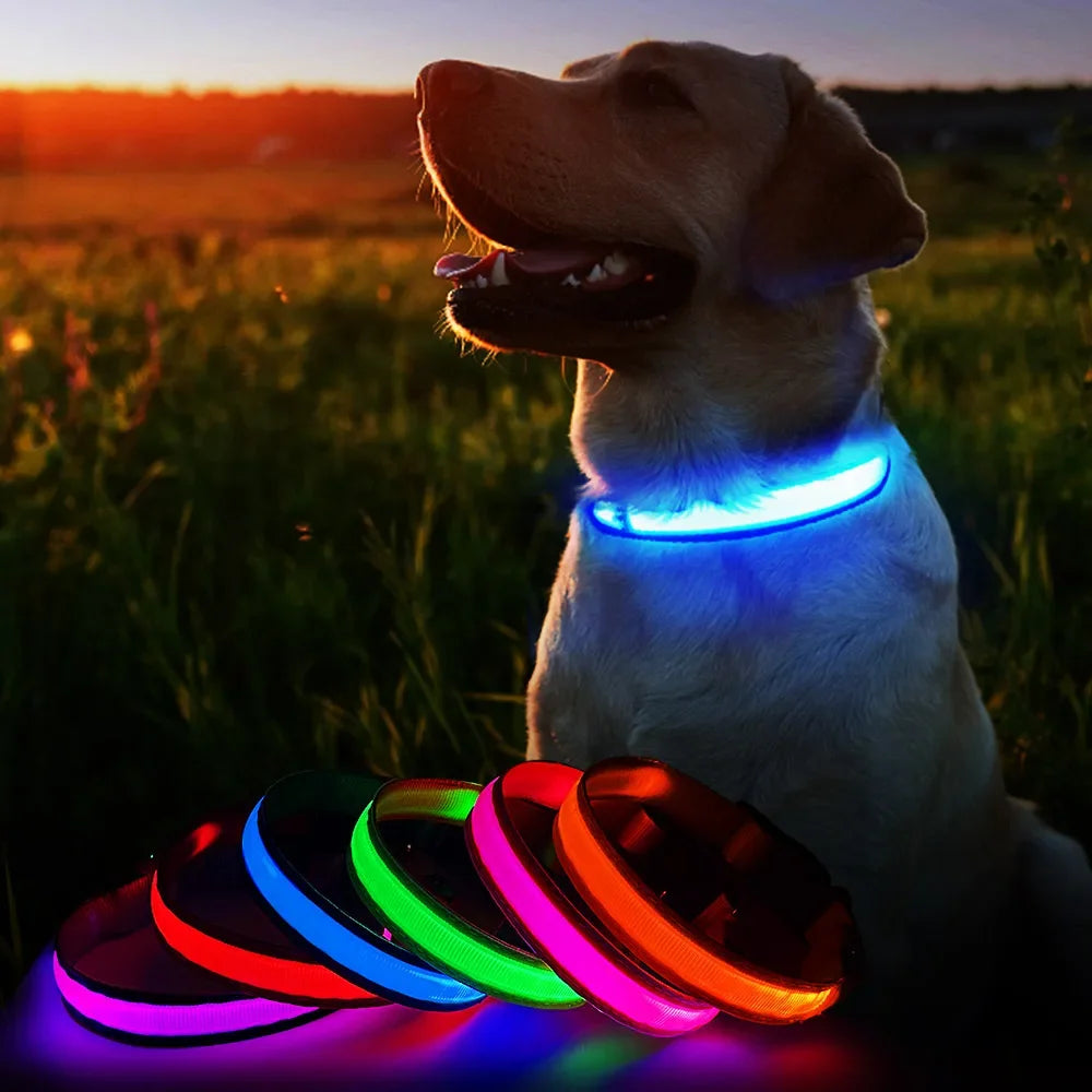 Waterproof LED Dog Collar - Luminous Flashing Safety Glow Necklace for Night Walking Bozal perro Dog collars Dog bows bulk Leash