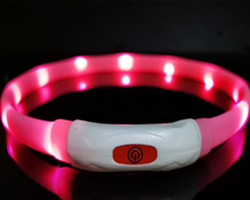 Dog Silicone Luminous Collar