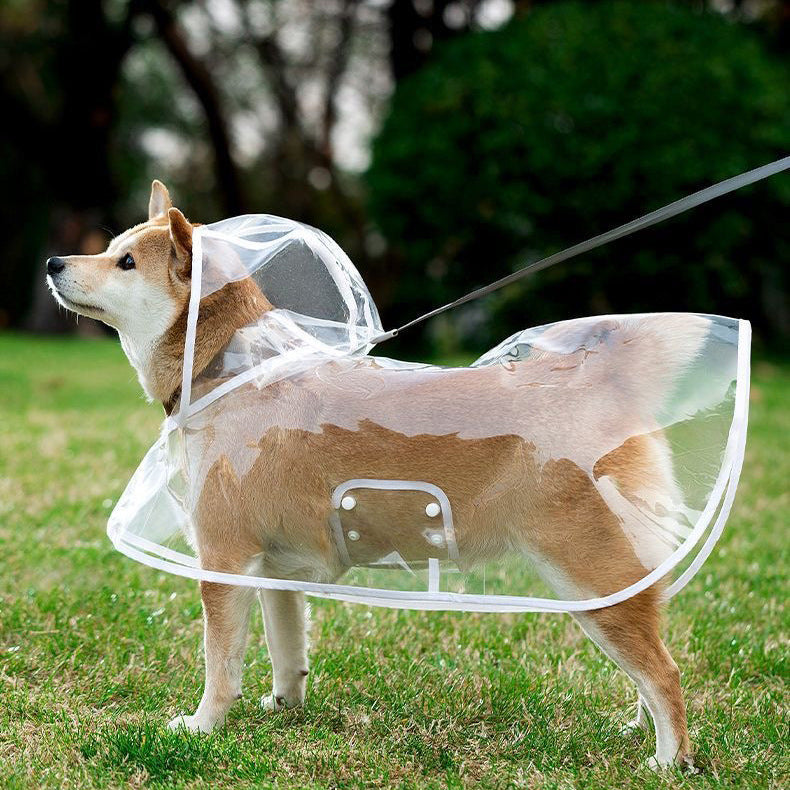 Dog Lightweight Raincoat Transparent