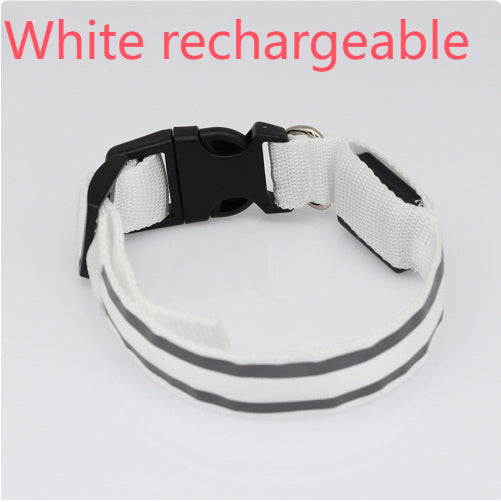 Anti-lost safety Led Dog Collar