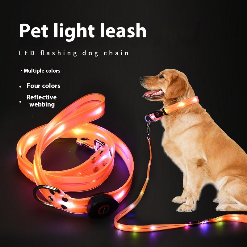 LED Dog Collar Light-emitting