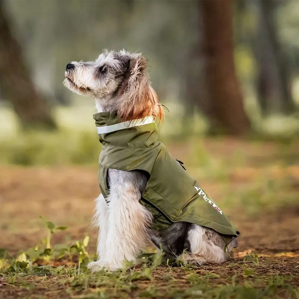 Fashion Adjustable Dog Raincoat Soft Reflective Strape Waterproof Dogs Clothes with Chest Leash Pet Outdoor Coat Outdoor