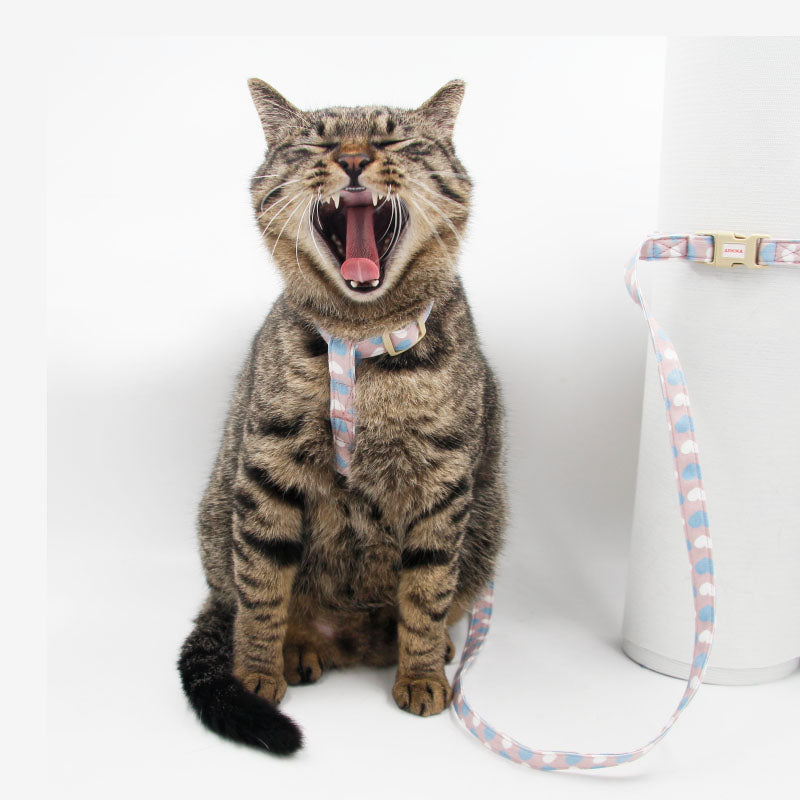 Cat And Dog Traction Rope