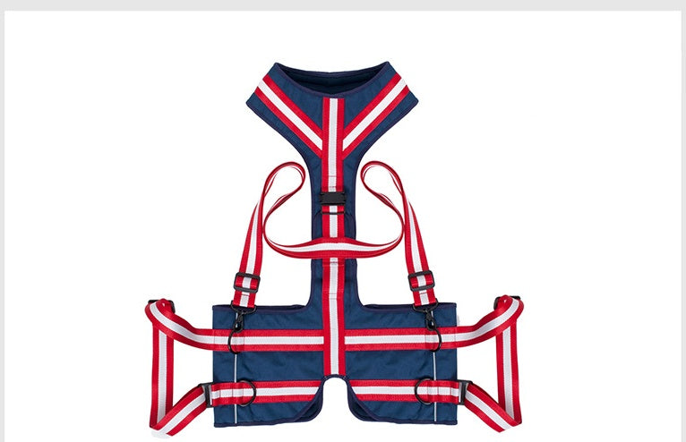 Pet Harness For Elderly Dogs