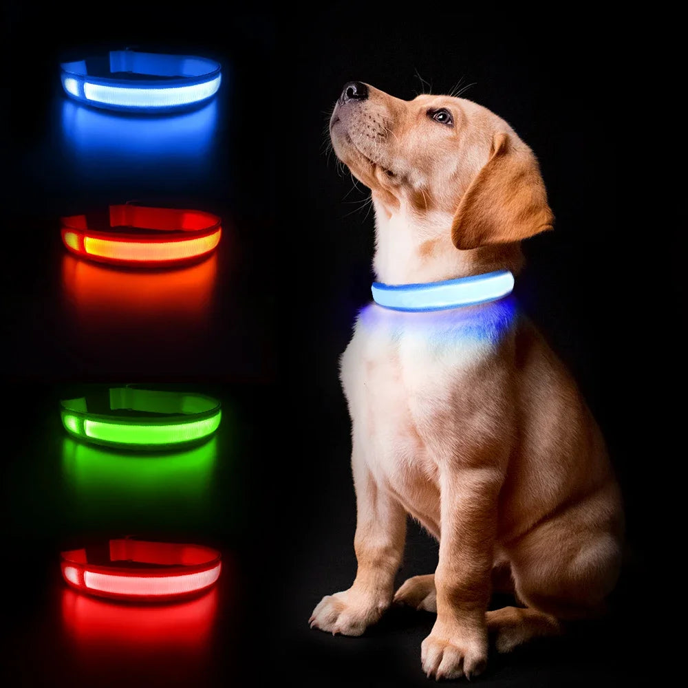 Waterproof LED Dog Collar - Luminous Flashing Safety Glow Necklace for Night Walking Bozal perro Dog collars Dog bows bulk Leash