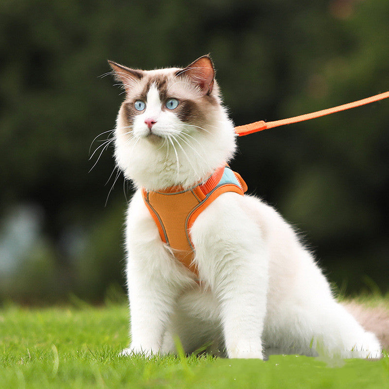 Anti Escape Reflective Cat Harness
