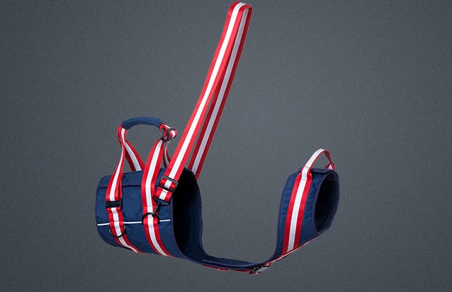 Pet Harness For Elderly Dogs