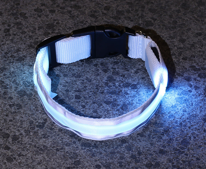 Anti-lost safety Led Dog Collar