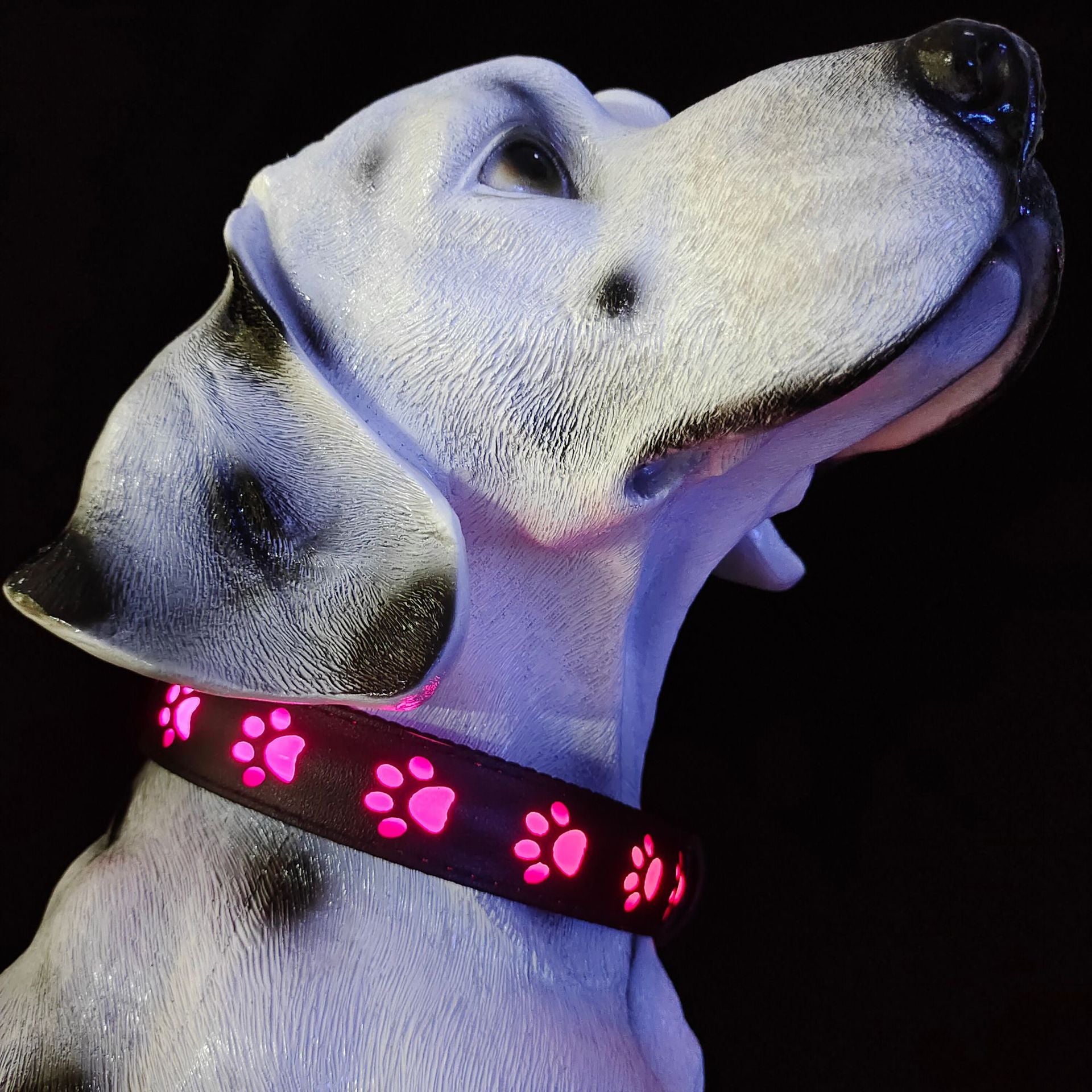 Dog's LED Luminous Collar